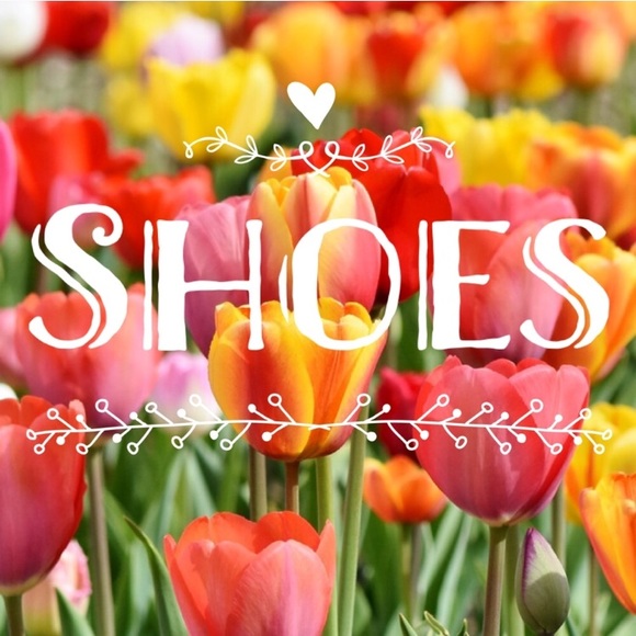 Women’s Shoes - Picture 1 of 1